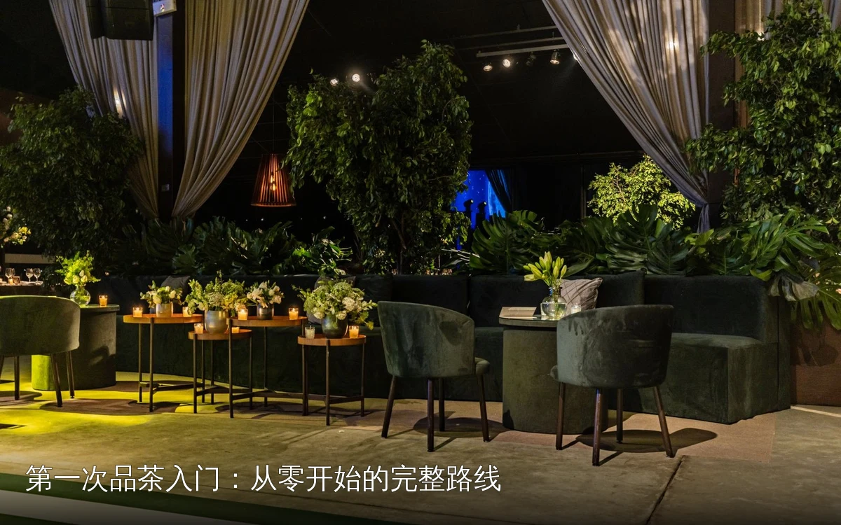 第一次品茶入门:从零开始的完整路线